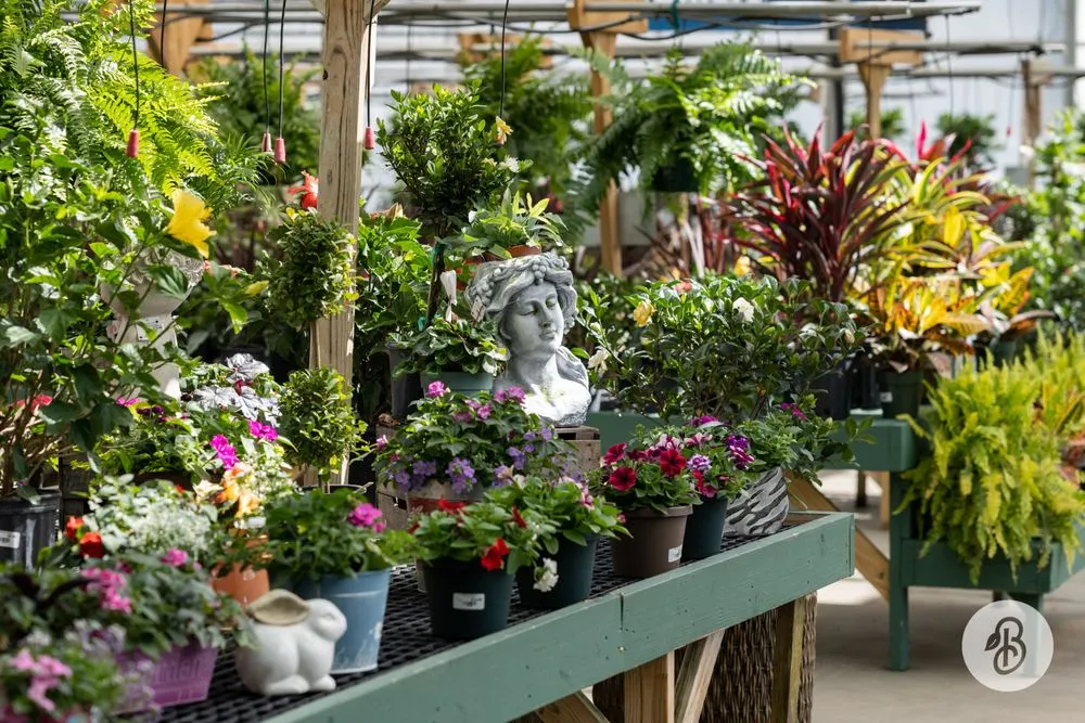 Trusted residential landscaping with custom design across McDonald, PA - Bedner's Farm & Greenhouse