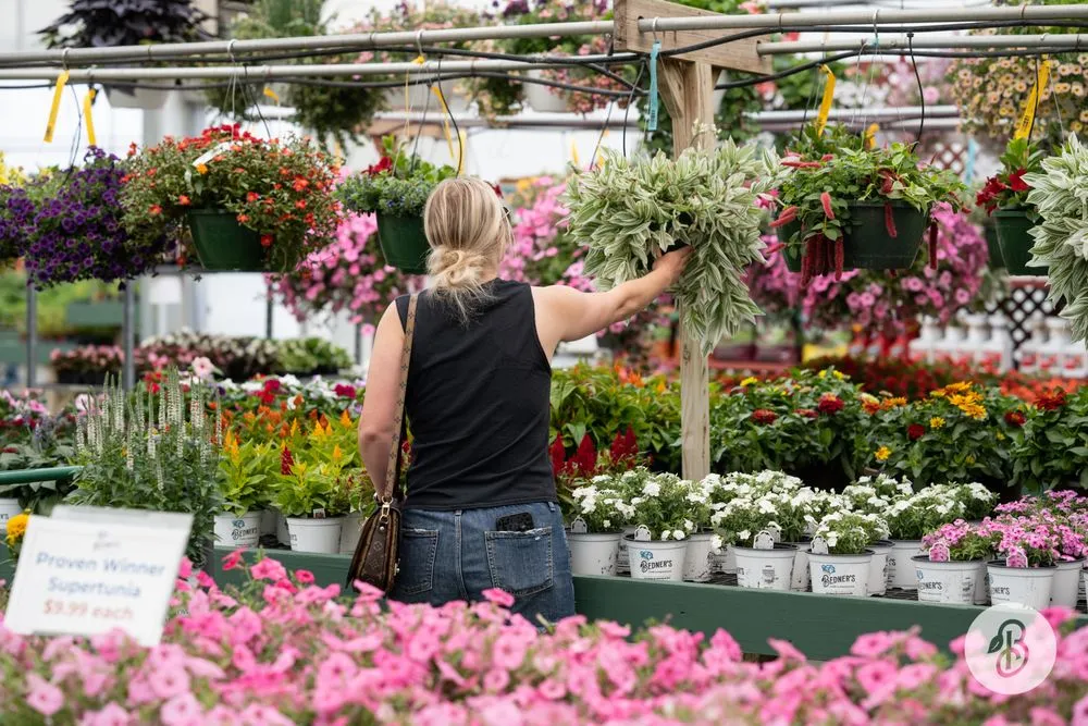 Professional outdoor landscaping for residential properties in McDonald, PA by Bedner's Farm & Greenhouse