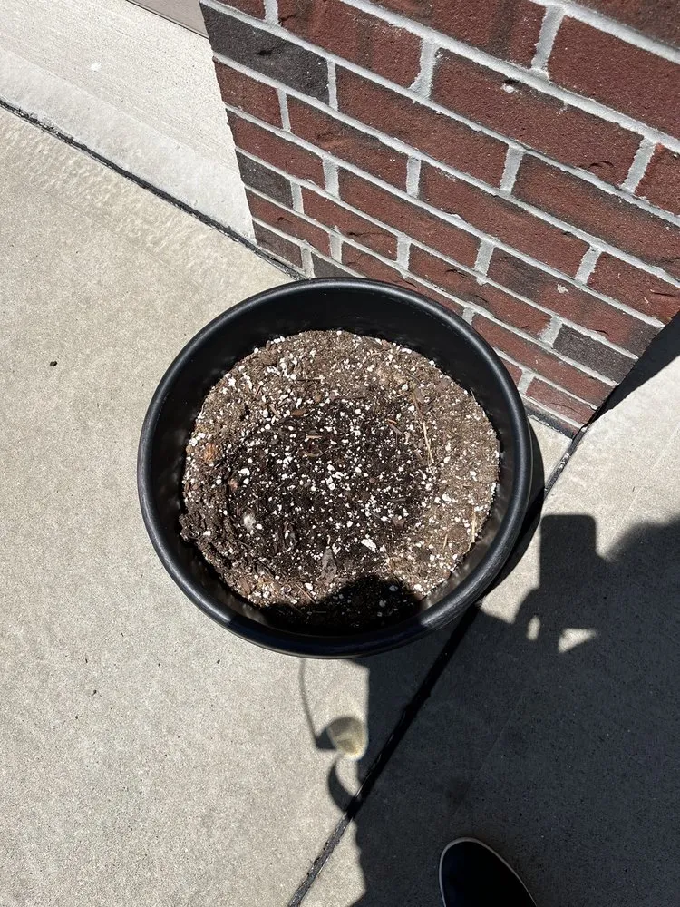 Top-rated yard cleanup service for homes in McDonald, PA by Bedner's Farm & Greenhouse