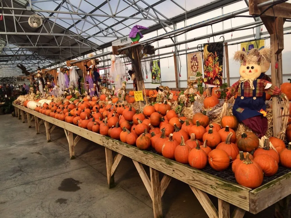 Professional garden landscaping for outdoor upgrades in McDonald, PA by Bedner's Farm & Greenhouse