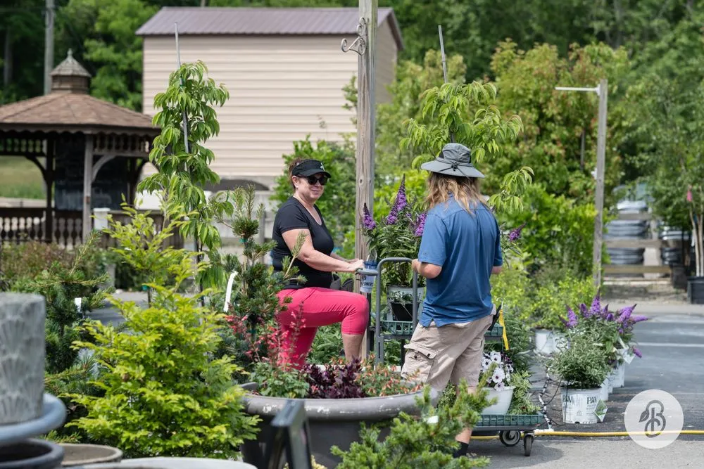 Custom residential landscaping experts serving McDonald, PA - Bedner's Farm & Greenhouse