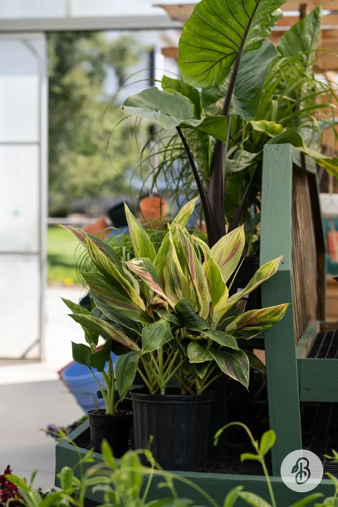 Trusted landscape installation in McDonald, PA by Bedner's Farm & Greenhouse