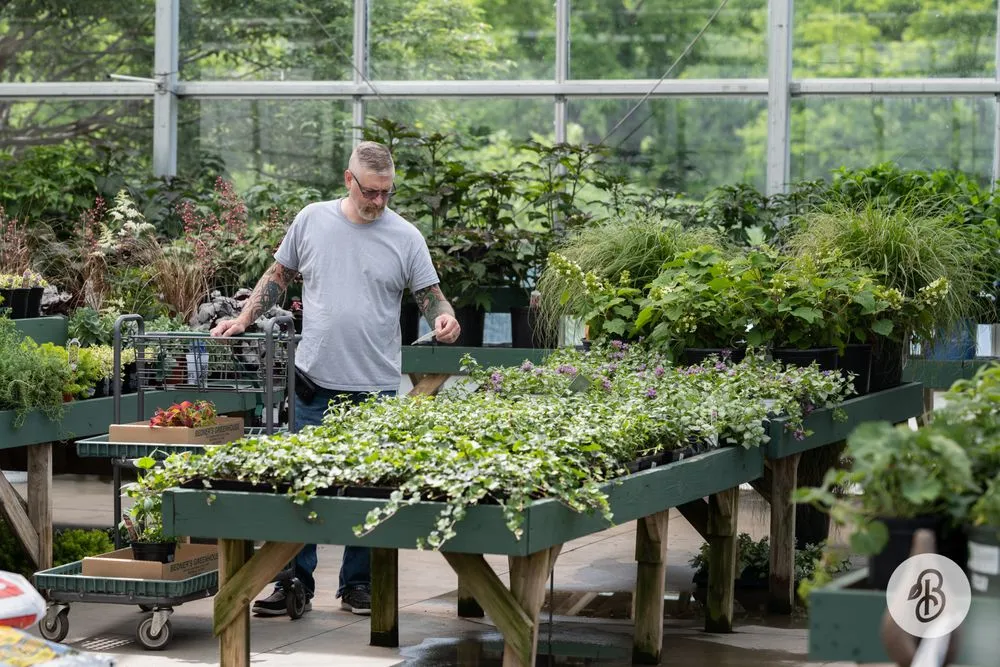 Reliable landscaping services in McDonald, PA - Bedner's Farm & Greenhouse