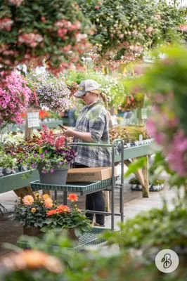 Bedner's Farm & Greenhouse