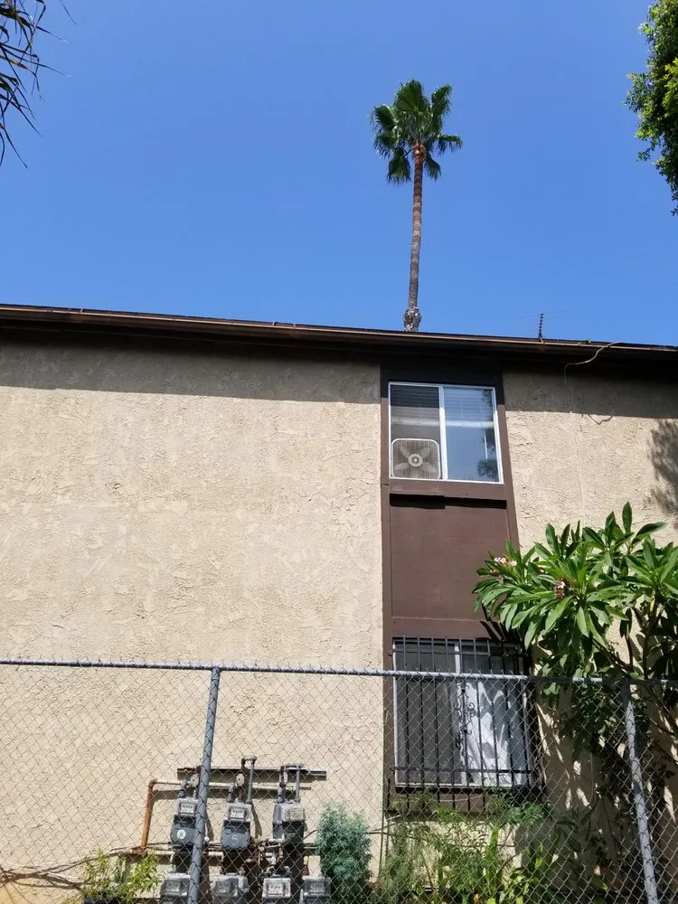 Local yard maintenance in Los Angeles, CA - Bedolla Gardening Service