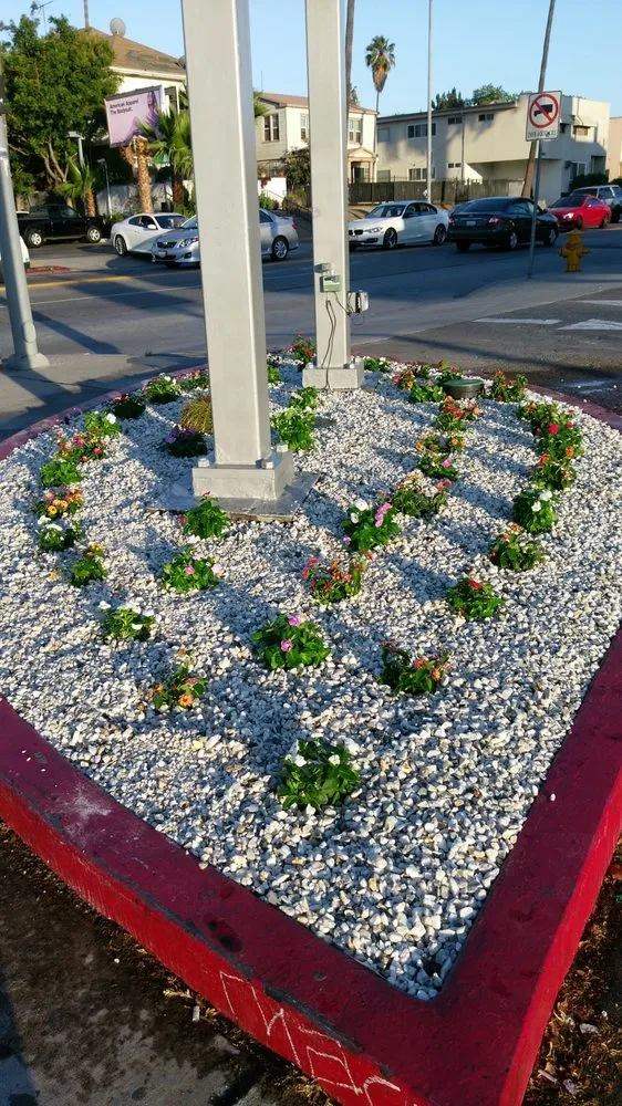 Trusted residential landscaping in Los Angeles, CA by Bedolla Gardening Service