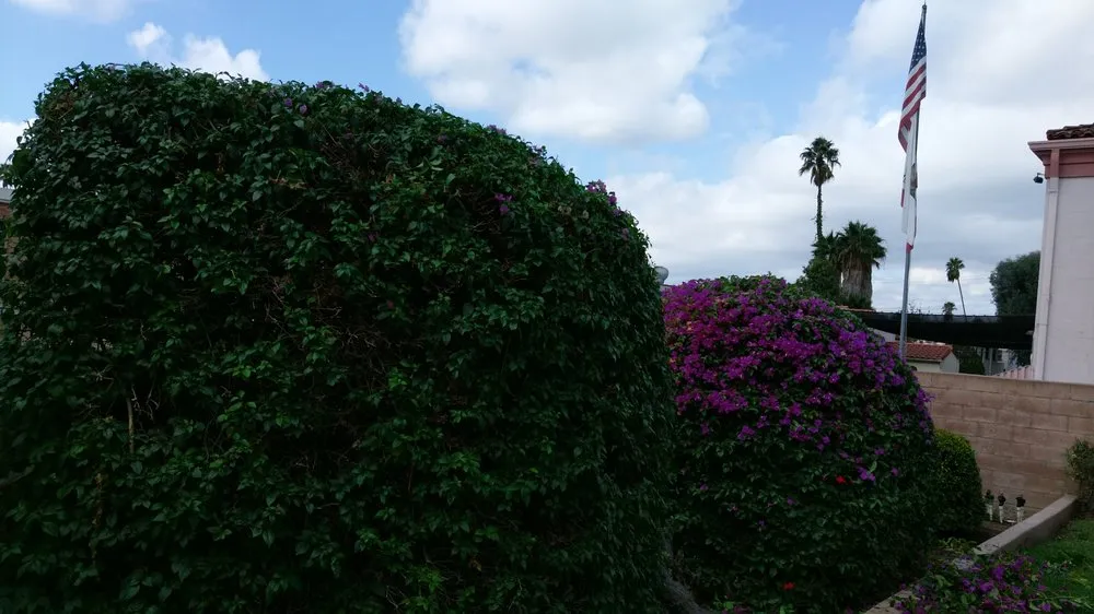 Top-rated yard cleanup service for year-round maintenance across Los Angeles, CA - Bedolla Gardening Service