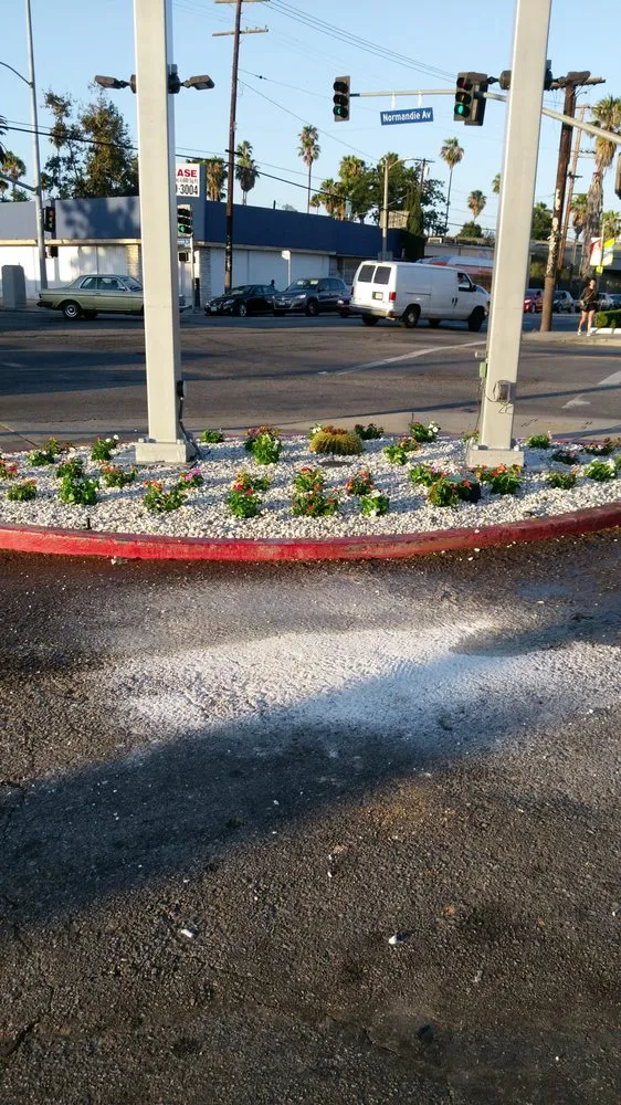 Expert lawn care service with custom design across Los Angeles, CA - Bedolla Gardening Service