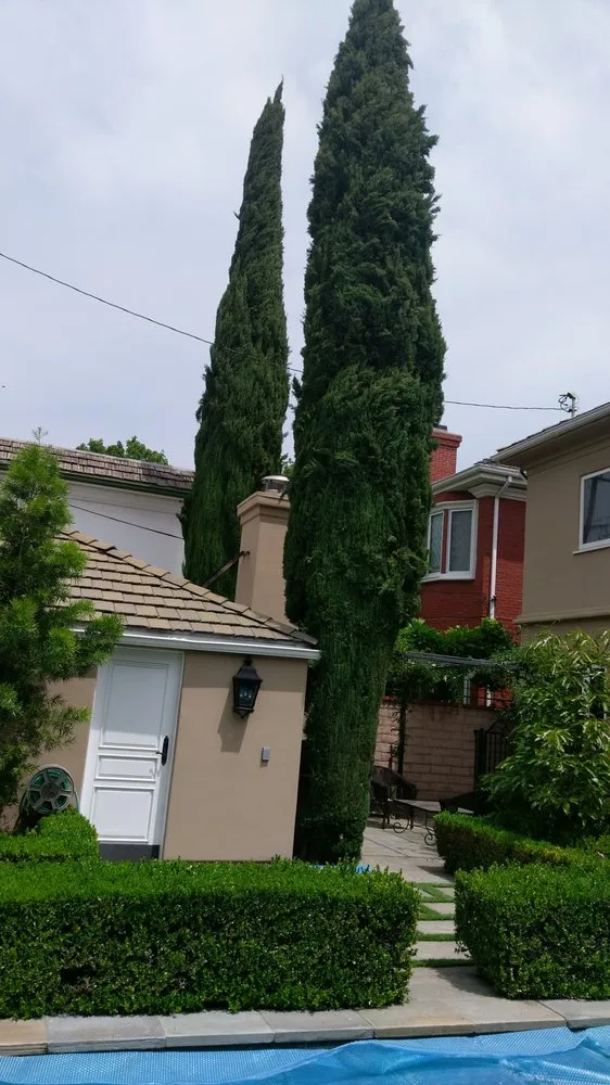 Top-rated lawn mowing service in Los Angeles, CA - Bedolla Gardening Service