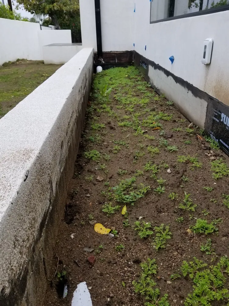 Reliable landscape design in Los Angeles, CA - Bedolla Gardening Service