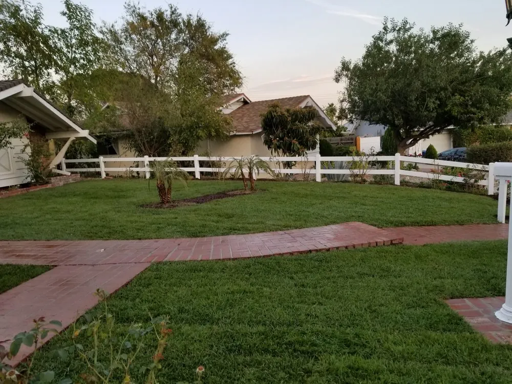 Custom landscape design in Los Angeles, CA - Bedolla Gardening Service