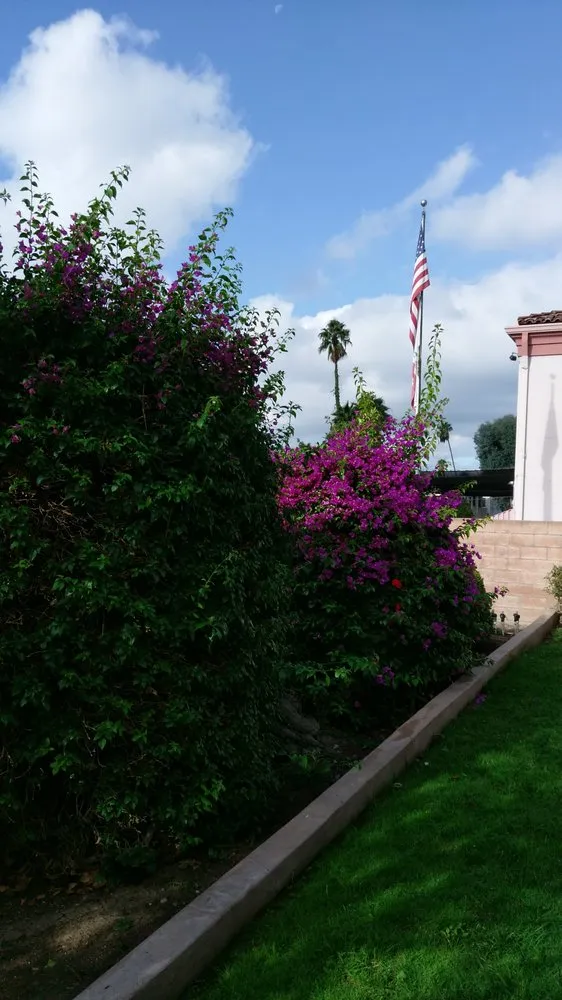 Custom yard maintenance for outdoor upgrades across Los Angeles, CA - Bedolla Gardening Service