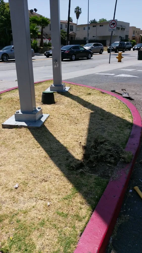 Trusted landscape installation for homes across Los Angeles, CA - Bedolla Gardening Service