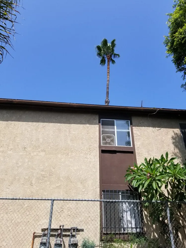 Trusted lawn mowing service with custom design in Los Angeles, CA by Bedolla Gardening Service