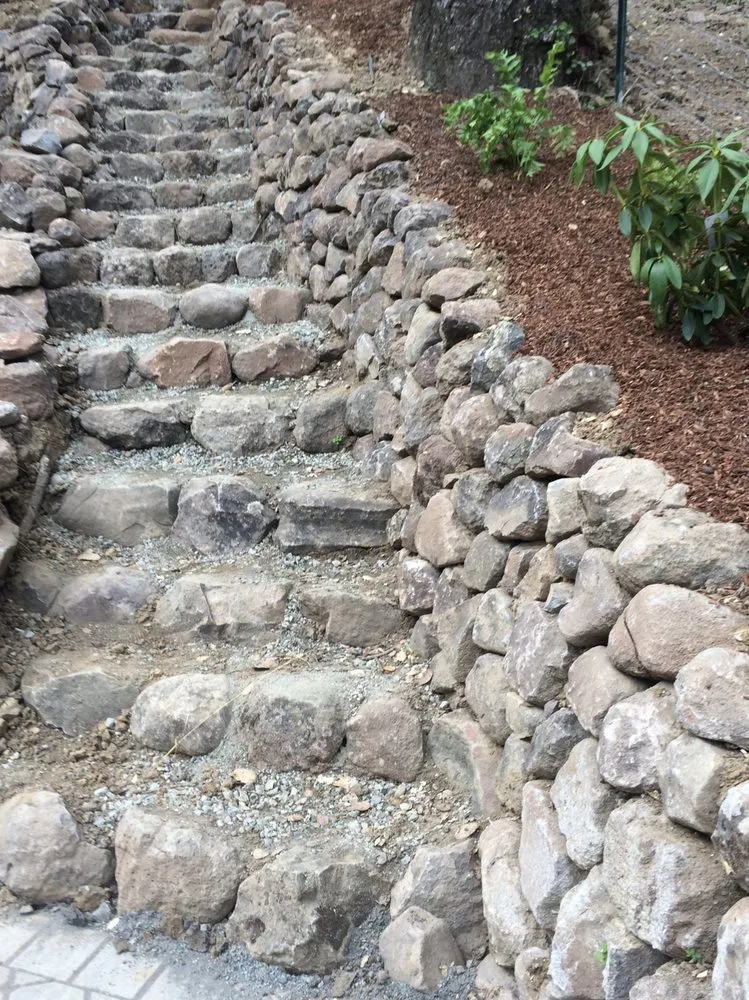 Top-rated residential landscaping experts serving Redwood City, CA - Bedolla's Gardening & Landscaping