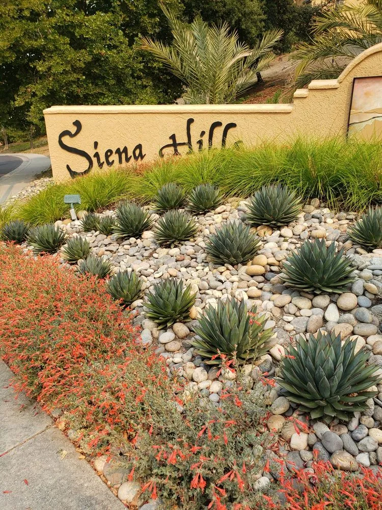 Professional yard maintenance in Redwood City, CA by Bedolla's Gardening & Landscaping