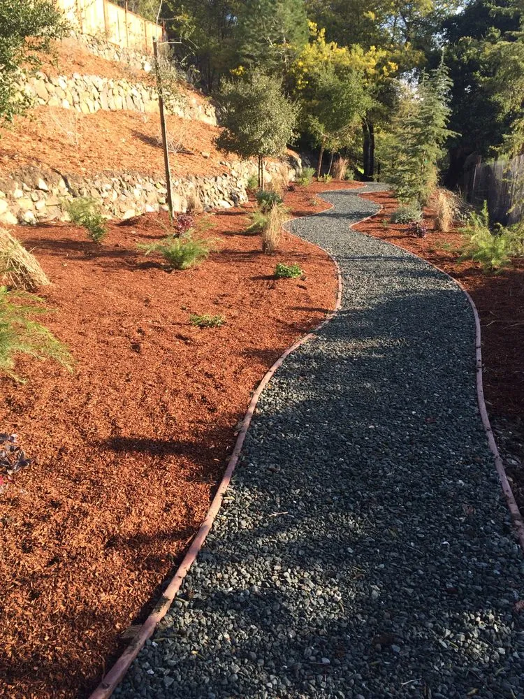 Local landscaping services in Redwood City, CA by Bedolla's Gardening & Landscaping