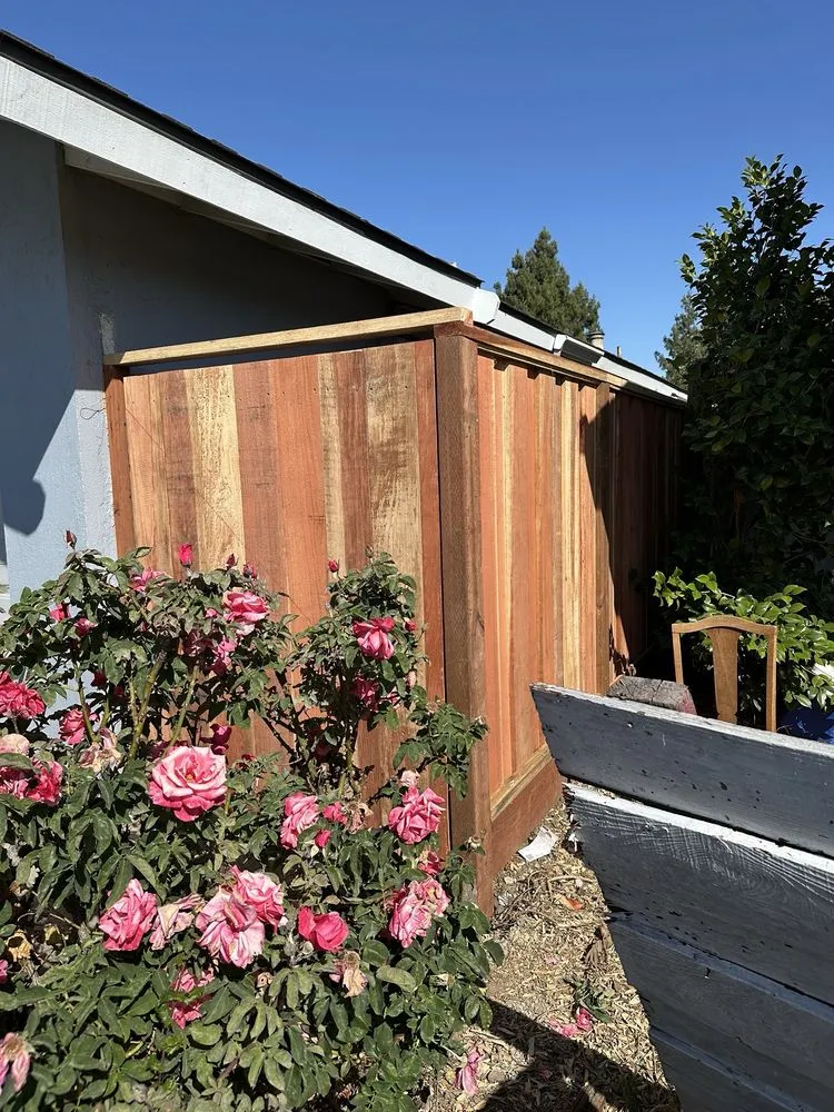 Professional yard maintenance in Redwood City, CA - Bedolla's Gardening & Landscaping