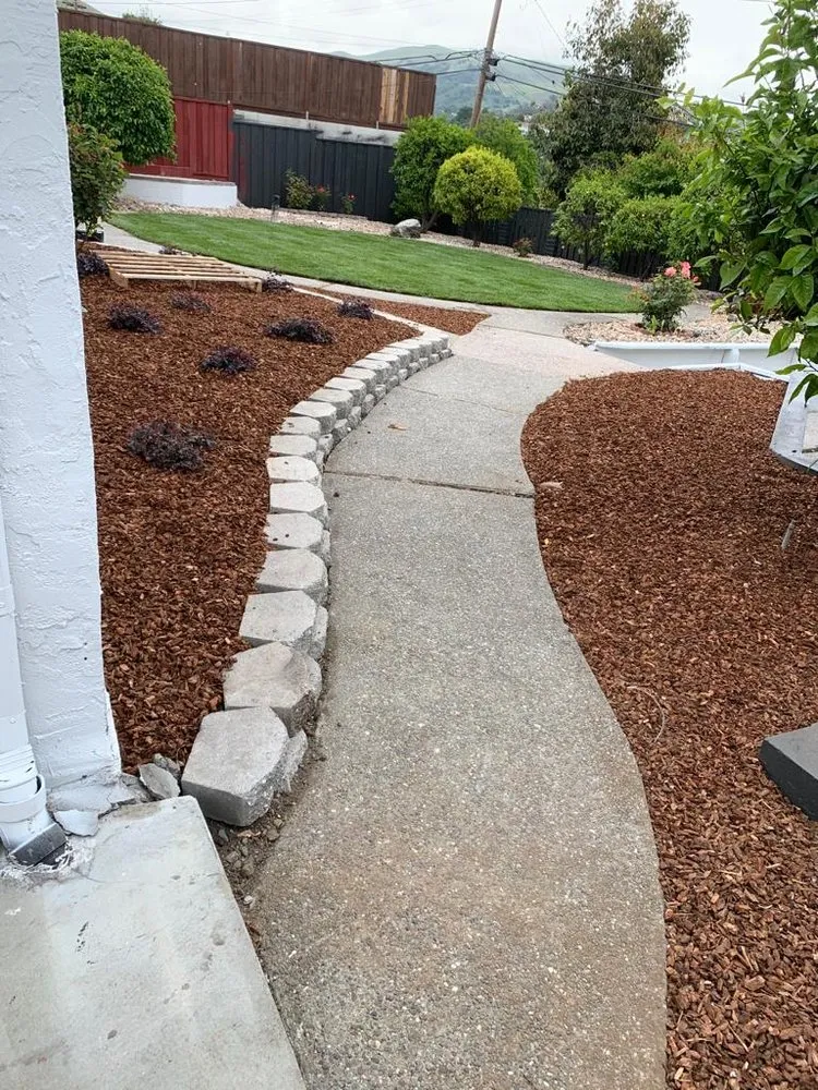 Local yard cleanup service in Redwood City, CA - Bedolla's Gardening & Landscaping
