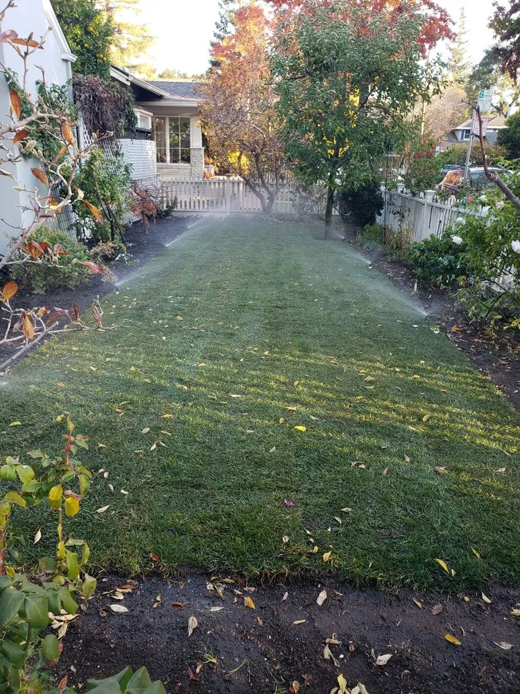 Local yard cleanup service in Redwood City, CA - Bedolla's Gardening & Landscaping