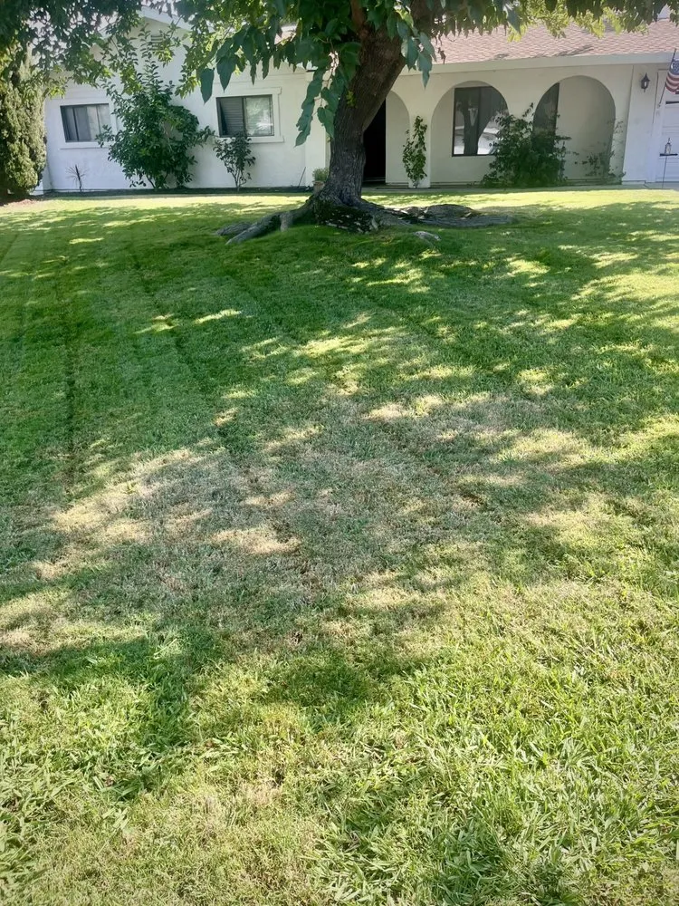 Expert garden landscaping for homes across Sacramento, CA - Bedolla's Landscaping