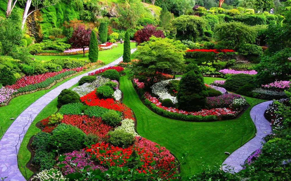 Professional garden landscaping experts serving Sacramento, CA - Bedolla's Landscaping