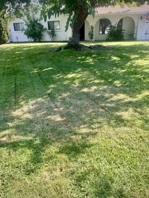 Bedolla's Landscaping Logo