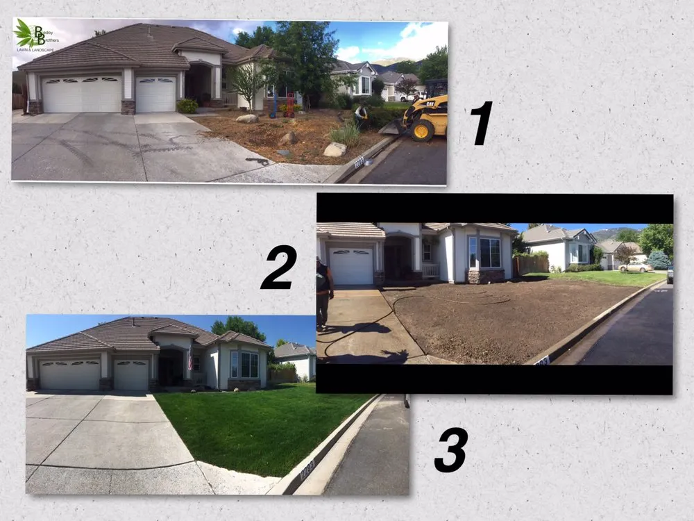 Expert yard cleanup service for year-round maintenance in Carson City, NV by Bedoy Brothers Lawn & Landscape