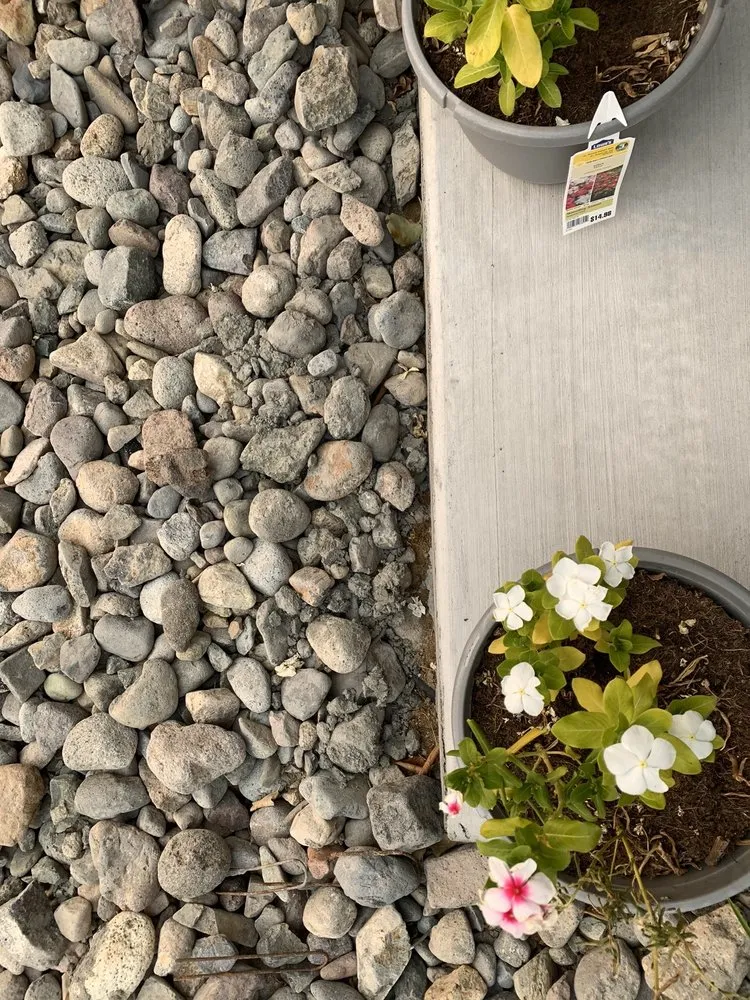 Professional landscape design for year-round maintenance across Carson City, NV - Bedoy Brothers Lawn & Landscape