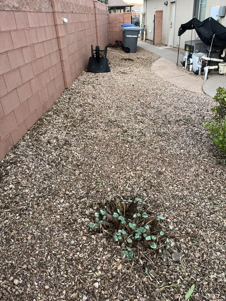 Professional landscape installation in St. George, UT - Bedrock Landscape & Tree Service