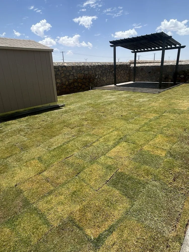 Professional yard cleanup service for outdoor upgrades across El Paso, TX - Bedrock Landscaping & Concrete