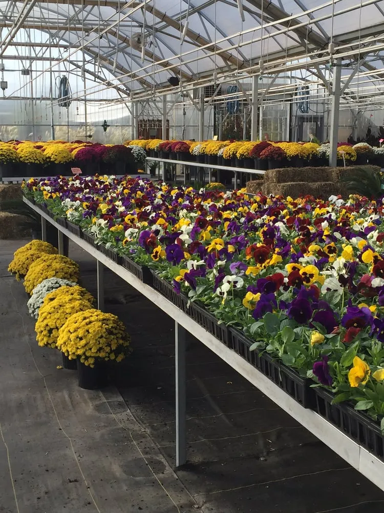 Top-rated lawn care service for outdoor upgrades across Lawton, OK - Bedrock Nursery