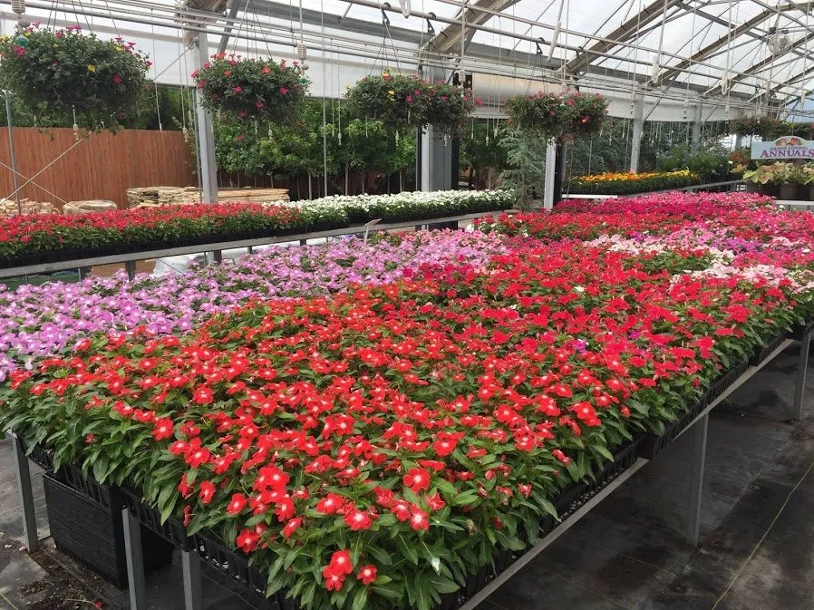 Top-rated lawn care service for outdoor upgrades in Lawton, OK by Bedrock Nursery