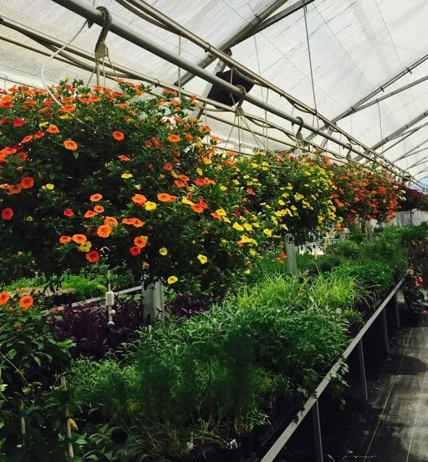 Top-rated lawn mowing service in Lawton, OK by Bedrock Nursery