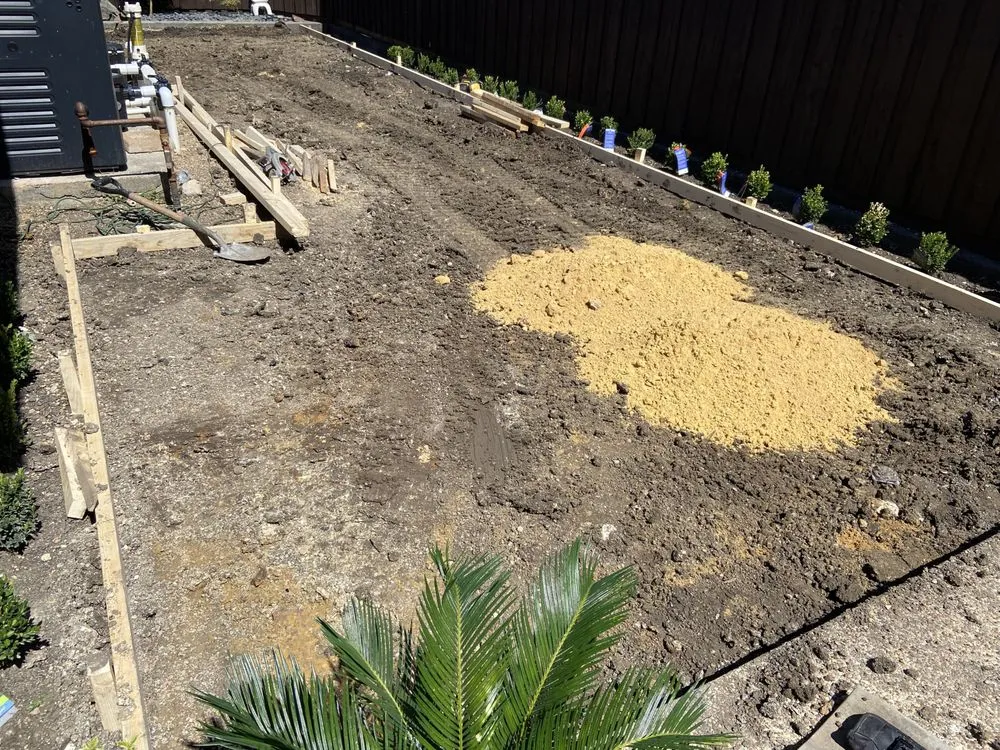 Expert landscaping services for residential properties in Dallas, TX by Bee Bee Fly Landscaping