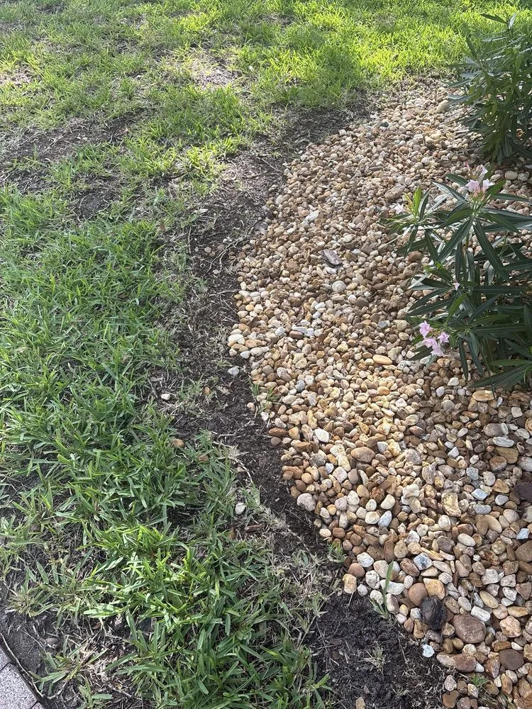 Professional yard cleanup service in St. Augustine, FL by Bee Bros Lawn Care