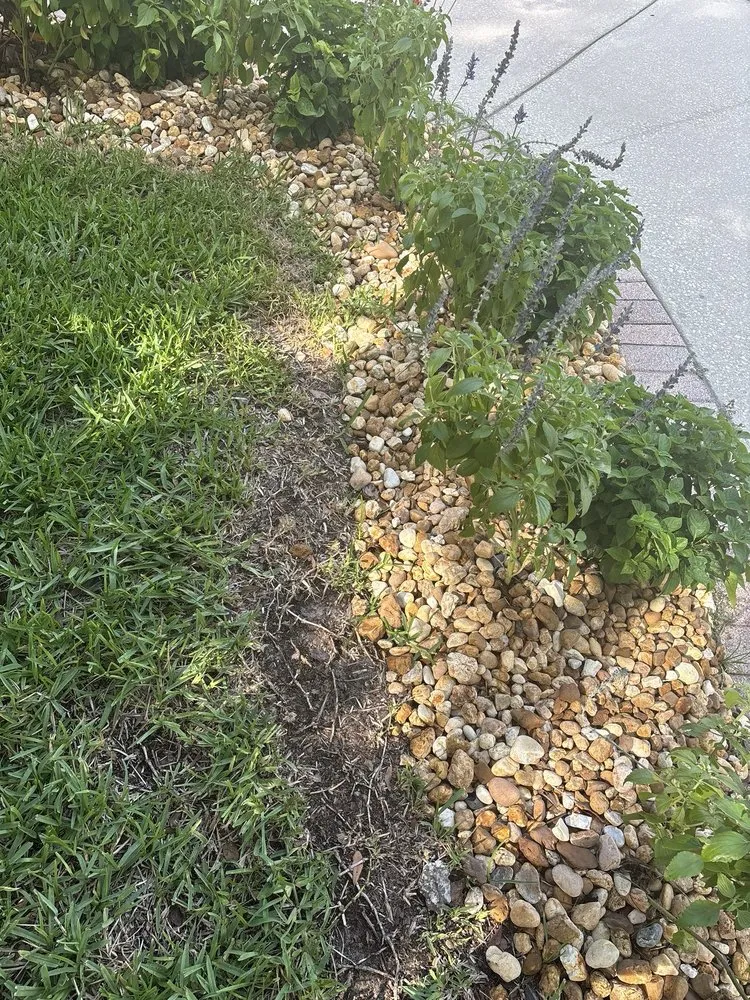 Expert landscape installation in St. Augustine, FL - Bee Bros Lawn Care