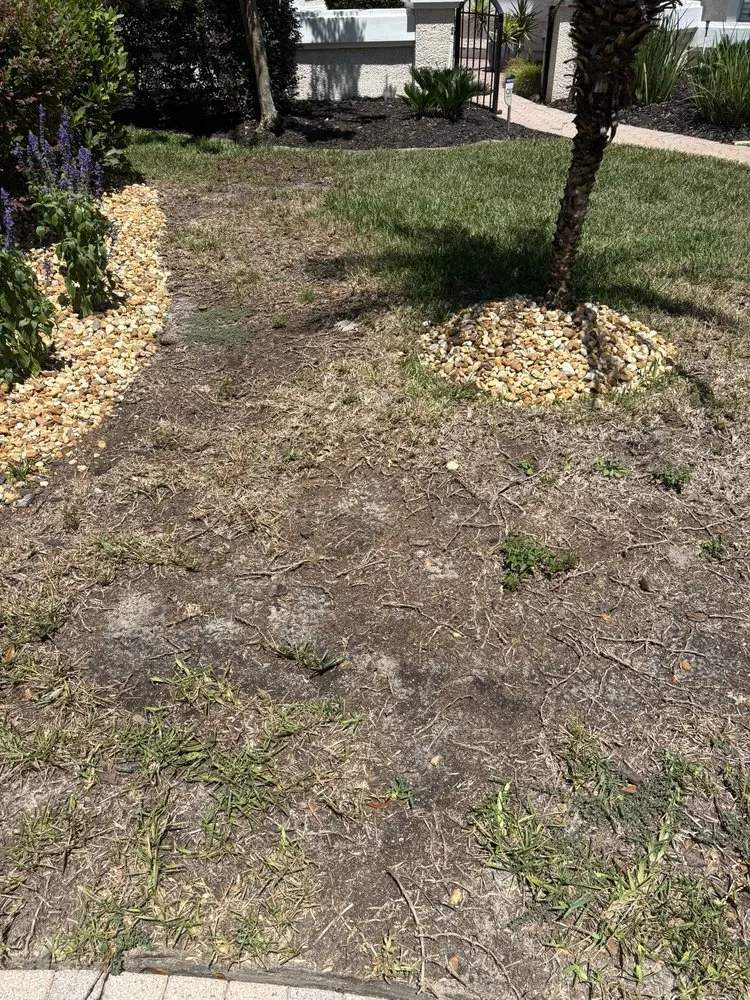 Custom yard maintenance for outdoor upgrades across St. Augustine, FL - Bee Bros Lawn Care
