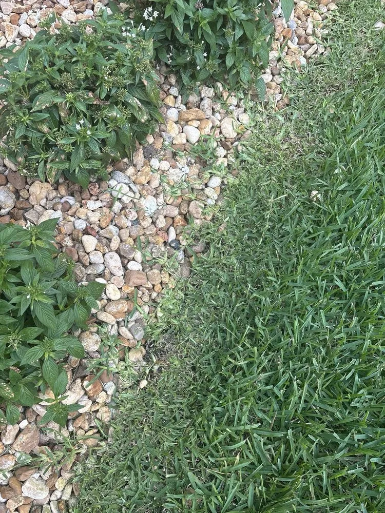 Local yard cleanup service in St. Augustine, FL by Bee Bros Lawn Care