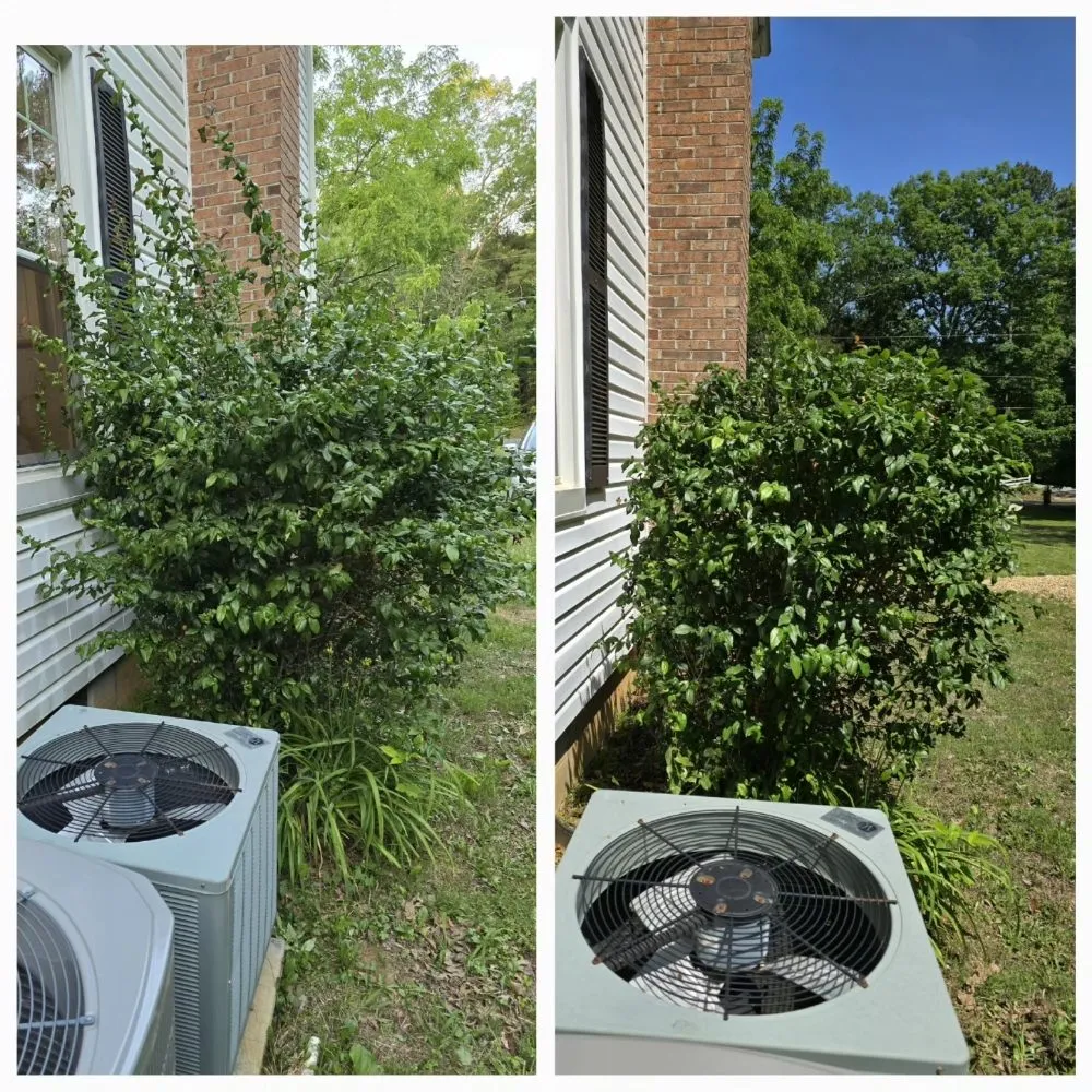 Top-rated landscaping services for beautiful yards across Charles City, VA - Bee Friendly