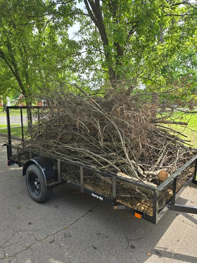 Reliable yard maintenance in Charles City, VA by Bee Friendly