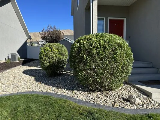 Bee Garden Landscape