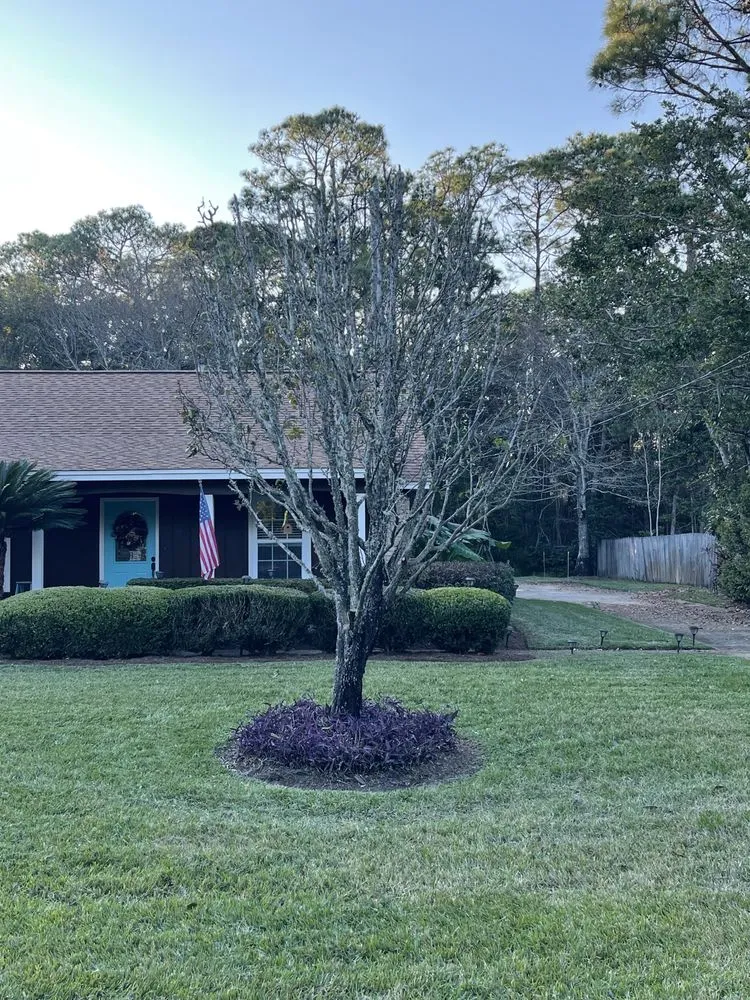 Expert lawn care service for beautiful yards across Gulf Breeze, FL - Bee Green Landscaping LLC
