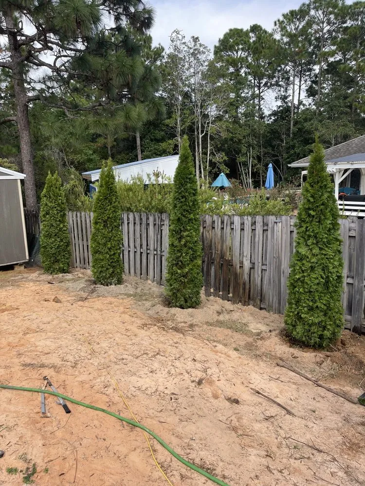 Reliable yard cleanup service for year-round maintenance in Gulf Breeze, FL by Bee Green Landscaping LLC