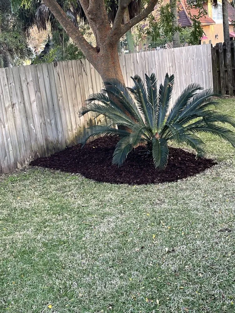 Top-rated landscape design in Gulf Breeze, FL by Bee Green Landscaping LLC