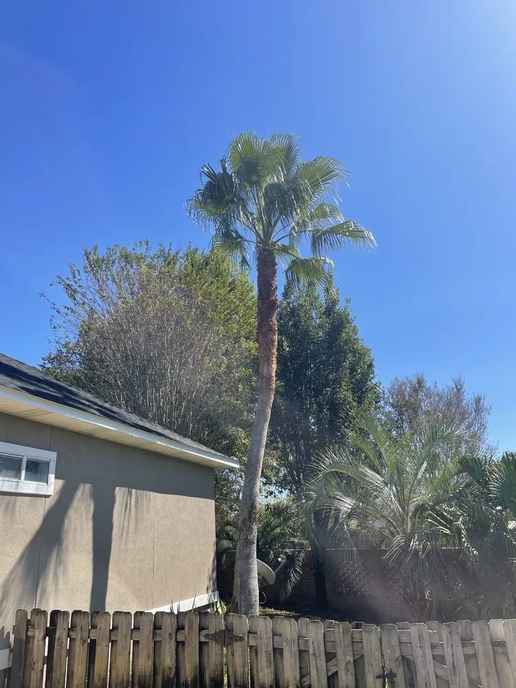 Top-rated lawn care service in Gulf Breeze, FL by Bee Green Landscaping LLC