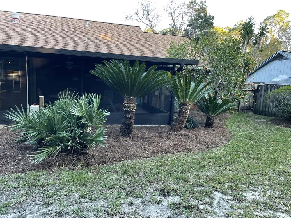 Local landscape design for residential properties across Gulf Breeze, FL - Bee Green Landscaping LLC