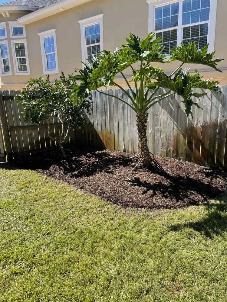Expert yard cleanup service experts serving Gulf Breeze, FL - Bee Green Landscaping LLC