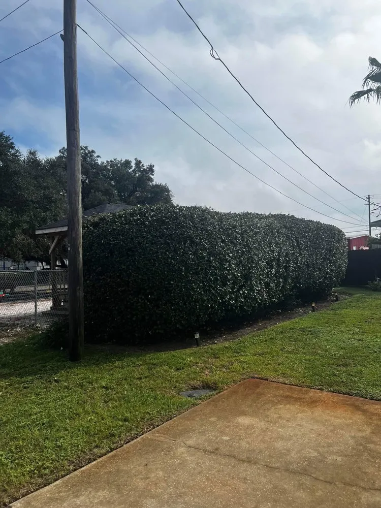 Expert lawn care service in Gulf Breeze, FL - Bee Green Landscaping LLC