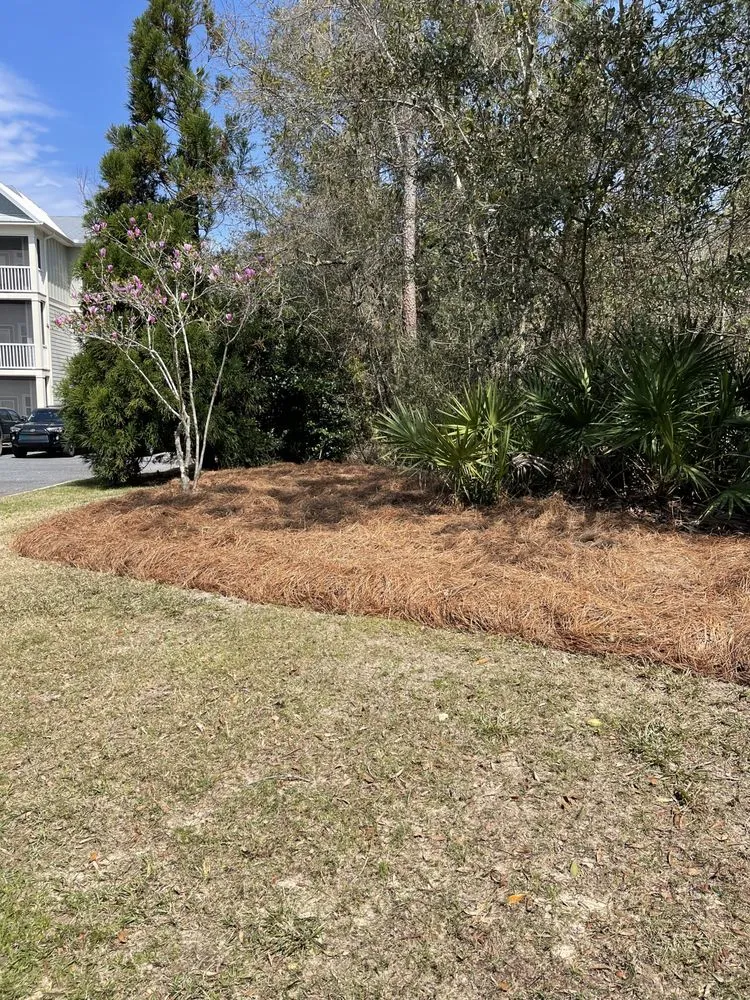 Top-rated landscape installation for residential properties across Gulf Breeze, FL - Bee Green Landscaping LLC